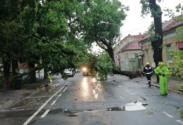 Măsuri luate de ISU Botoșani în contextul codului portocaliu de vijelii puternice