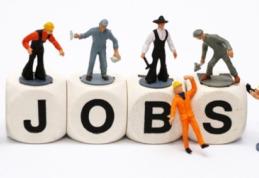 SC din Dorohoi angajează urgent muncitori pentru instalație de preparare a mortarelor uscate