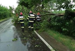 Pompierii au fost solicitați să intervină în șase situații de urgență generate de vântul puternic