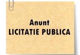 Primaria municipiului Dorohoi: Anunţ de participare la licitaţie pentru INCHIRIERI spații/terenuri (domeniul PRIVAT)