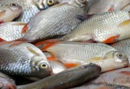 Aproape 80 de kilograme de pește confiscate de polițiști