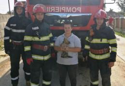 Cățel salvat de la moarte sigură de pompieri