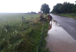 Vijelia a făcut din nou pagube în județ: Stâlpi și copaci căzuți pe străzi, acoperișuri desprinse - FOTO