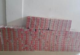 Ţigarete de contrabandă ascunse în vegetaţia de la malul Prutului 