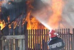 A vrut să scape de purici, dar și-a incendiat adăpostul de animale 