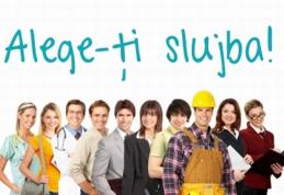 936 locuri de muncă vacante în județul Botoșani prin AJOFM. Vezi detalii!