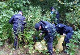 Jandarmii au spus „Let's do it, România!” și s-au apucat de treabă - FOTO