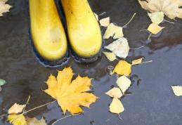 Vine iarna în România! Temperaturile vor coborî la minime de 2 grade, Prognoza meteo pentru următoarele două săptămâni