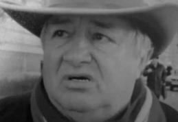 In Memoriam Profesor Ioan Puiu