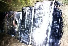 Peste 12.000 de pachete de ţigarete de contrabandă descoperite de poliţiştii botoşăneni