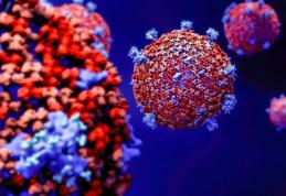 COVID-19 Dorohoi, 7 octombrie 2021: Află rata de infectare la nivelul municipiului!