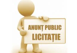 Primăria Dorohoi: ANUNȚ DE LICITAȚIE VÂNZARE - domeniu privat