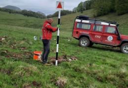 Trei turiști au plecat pe munte în pantaloni scurți și adidași. Au intervenit salvamontiștii și jandarmii