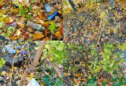 Primim la redacție – Natura şi educaţia sunt asemănătoare - FOTO