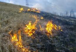 Apelul Primăriei Municipiului Dorohoi către locuitori privind interzicerea arderii vegetației uscate