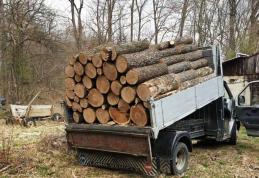 Material lemnos confiscat la intrarea în Dorohoi 