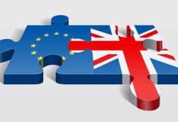 Alegătorii britanici vor să revină în UE