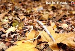 Atenție la fumatul în locuri nepermise! Pericol de incendiu!