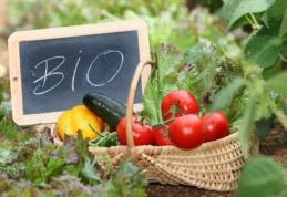 Ce proprietăți trebuie să aibă, de fapt, un produs bio