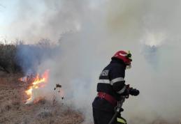 Opt incendii înregistrate în ultimele 24 de ore în județul Botoșani - FOTO