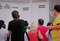 790 de locuri de muncă vacante, prin AJOFM, pe piața muncii din județul Botoșani