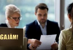 709 de locuri de muncă vacante, prin AJOFM, pe piața muncii din județul Botoșani