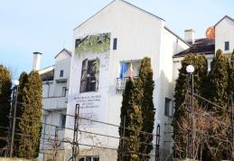 REACȚIA Memorialului Ipotești cu privire la angajatul implicat în comerțul cu tablouri false