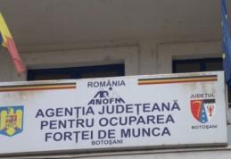 Peste 5000 de persoane angajate prin intermediul AJOFM BOTOȘANI in perioada ianuarie-noiembrie 2021