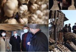 Lucian Trufin: „Subvenția pentru Programul „Usturoiul” este virată către conturile fermierilor!”