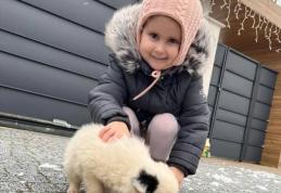 Apel umanitar! Carina, o fetiță de 4 ani din Dorohoi are nevoie de ajutor!