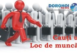 523 locuri de muncă vacante, prin AJOFM, pe piața muncii din județul Botoșani