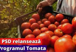 Lucian Trufin: „Relansarea Programului Tomata - Sprijin concret și predictibilitate pentru legumicultorii botoșăneni!”
