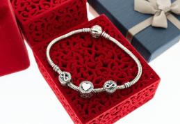 Istoria argintului și ce poți alege din magazinele Fest - VIDEO