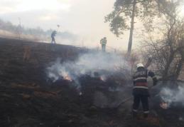 Se înmulțesc incendiile de vegetație în județul Botoșani. Pompierii sunt în alertă!