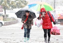 COD GALBEN de ninsori și vânt puternic, în județul Botoșani, pentru următoarele două zile