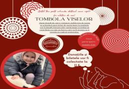 Tombola Viselor - Liceul „Regina Maria” Dorohoi lansează un apel umanitar!