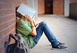 Patru unități de învățământ din Dorohoi participă la Programul Național pentru Reducerea Abandonului Școlar