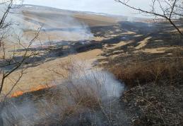 30 hectare de vegetație distruse în urma unui incendiu, la Frumușica - FOTO