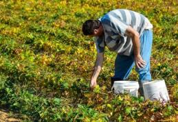 Locuri de muncă în Danemarca prin intermediul reţelei EURES