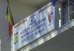 AJOFM Botoşani: Săptămîna începe cu locuri de muncă puţine