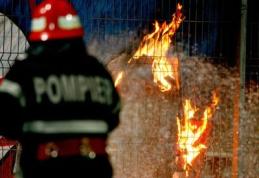 Ceartă cu scântei la Adăşeni