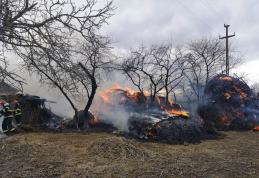 Cinci stive de furaje și un adăpost de animale mistuite de flăcări