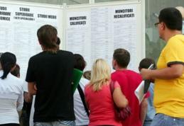 280 persoane angajate prin intermediul AJOFM BOTOȘANI în luna ianuarie