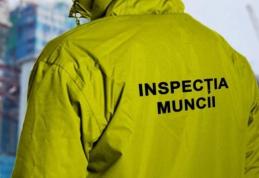 ITM Botoșani: Acţiune de monitorizare privind riscurile existente la locurile de muncă din întreprinderi mici