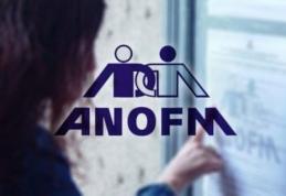 Informații privind cetățenii ucraineni care doresc să se angajeze pe teritoriul țării noastre