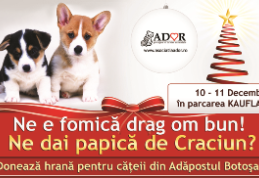 Ne e fomica, drag om bun! Ne dai papica de Craciun?  