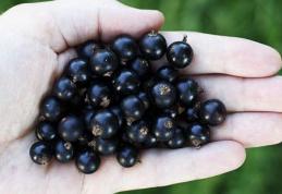 Un medicament antireumatic puternic și surprinzător