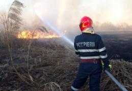 Peste 60 hectare de vegetație distruse duminică, în incendii