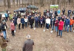 Social-democrații botoșăneni se alătură campaniei „Luna plantării arborilor” 