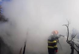Două case, un grajd și vegetația uscată de pe 20 de hectare au ars în urma a 11 incendii - FOTO